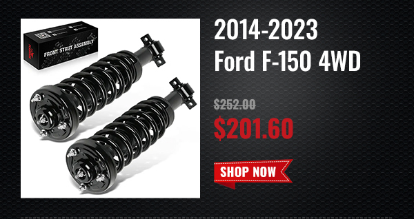2014-2023 Ford F-150 4WD Front Strut and Spring Assembly 2PCS